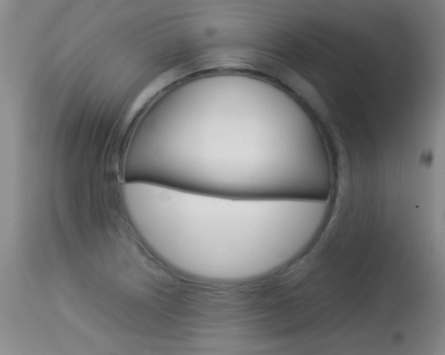 X0000113931226200909250908