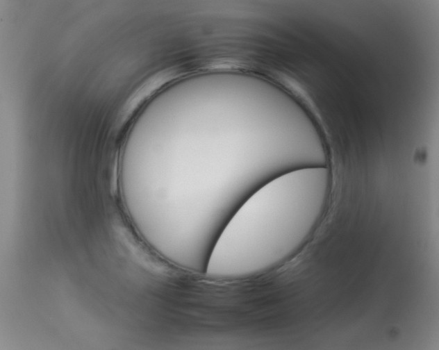 X0000113931227200909250908