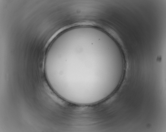 X0000113931228200909250908