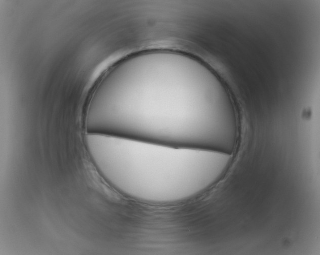 X0000113931230200909250908