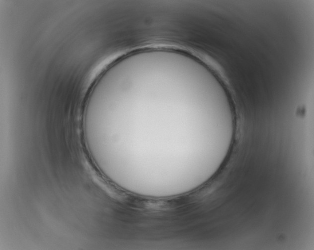 X0000113931231200909250908