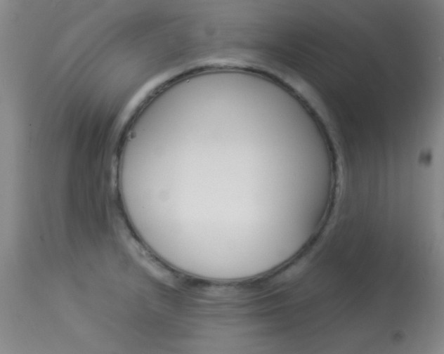 X0000113931232200909250908
