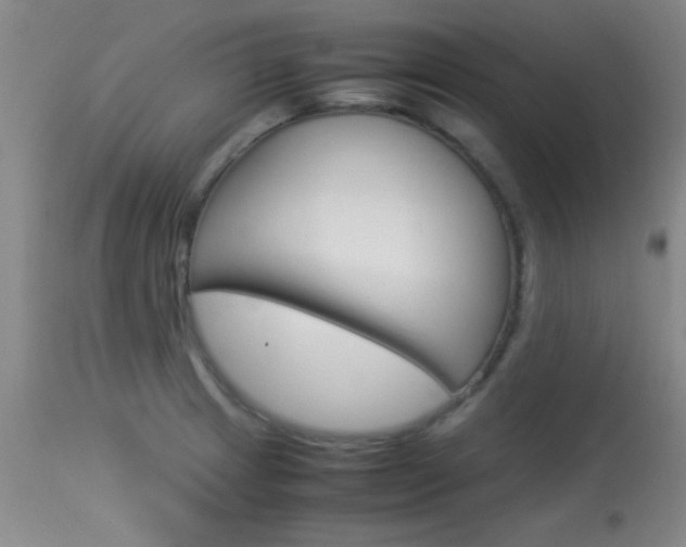 X0000113931233200909250908