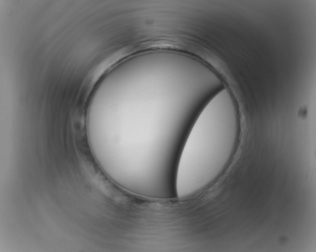 X0000113931234200909250908