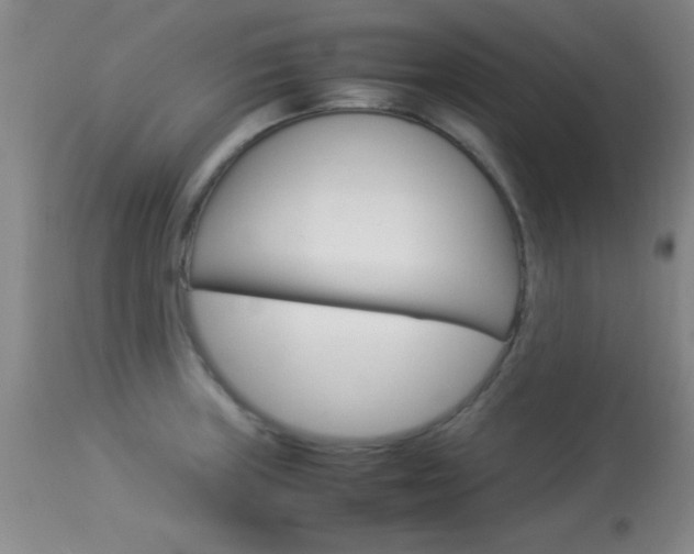 X0000113931235200909250908