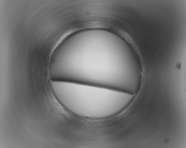 X0000113931236200909250908