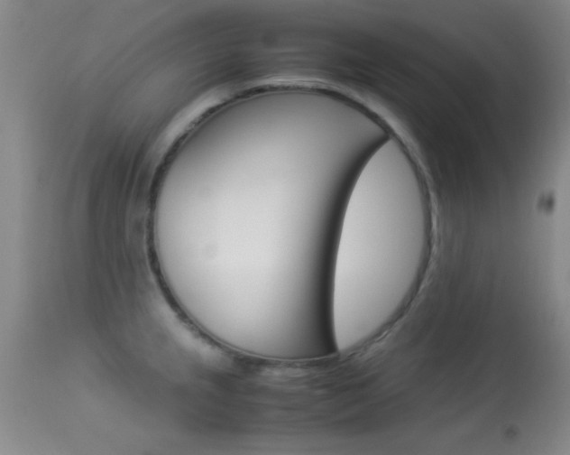 X0000113931237200909250908