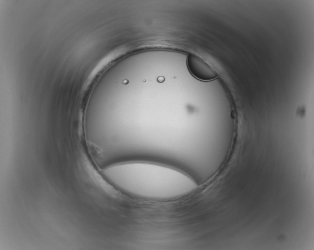X0000113931238200909250908