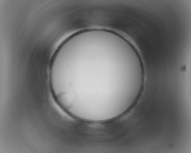 X0000113931239200909250908