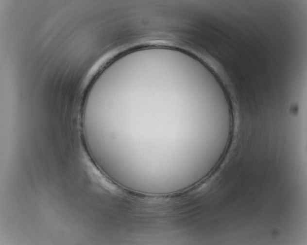 X0000113931240200909250908