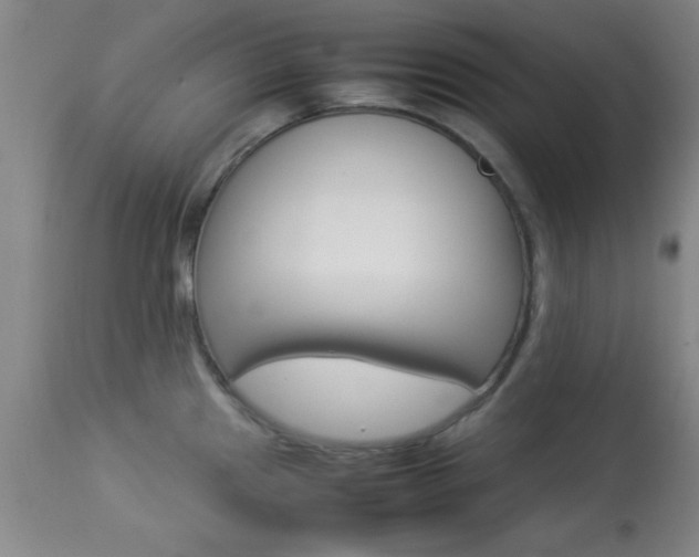 X0000113931241200909250908