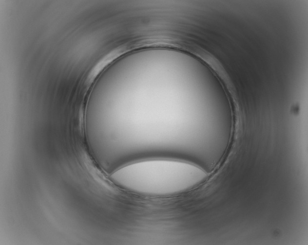 X0000113931242200909250908
