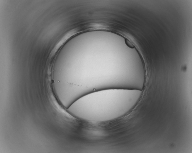 X0000113931243200909250908
