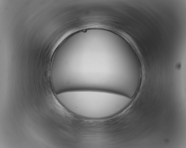 X0000113931244200909250908
