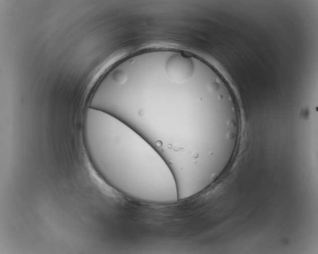 X0000113931245200909250908
