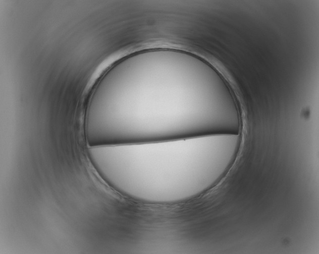 X0000113931246200909250908