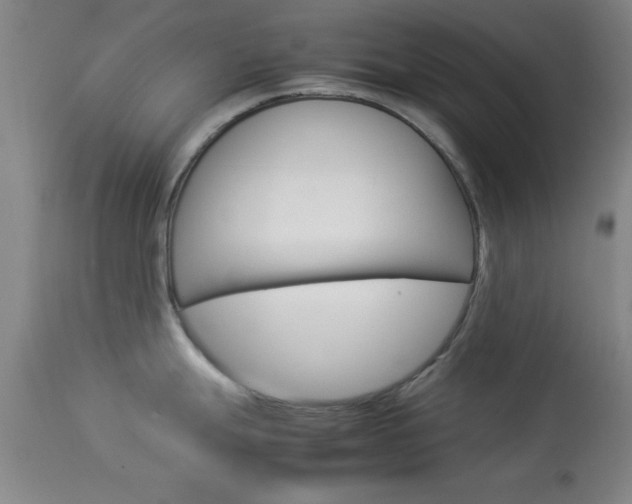 X0000113931247200909250908