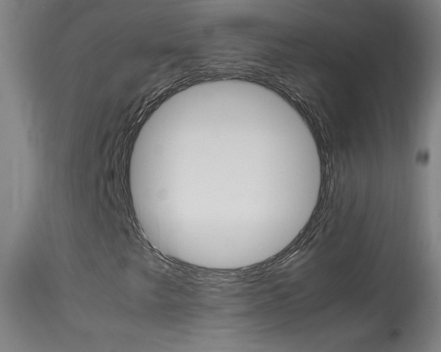 X0000113931249200909250907