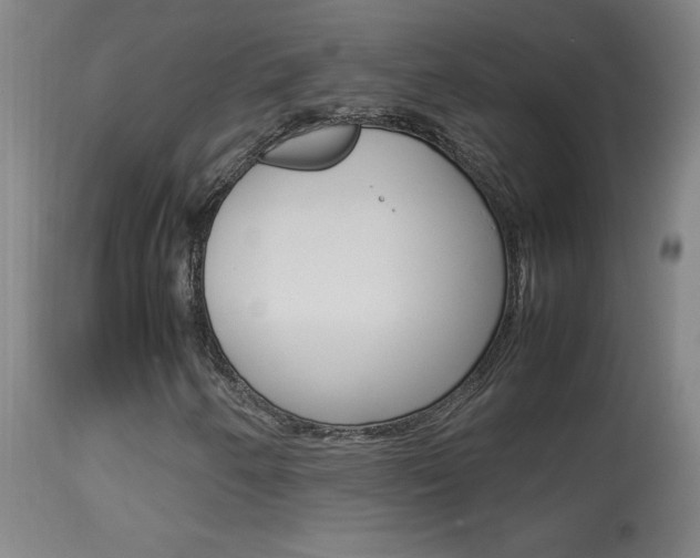 X0000113931250200909250907