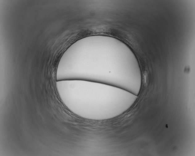 X0000113931251200909250907
