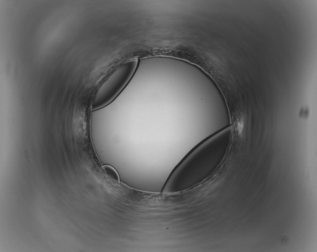 X0000113931252200909250907