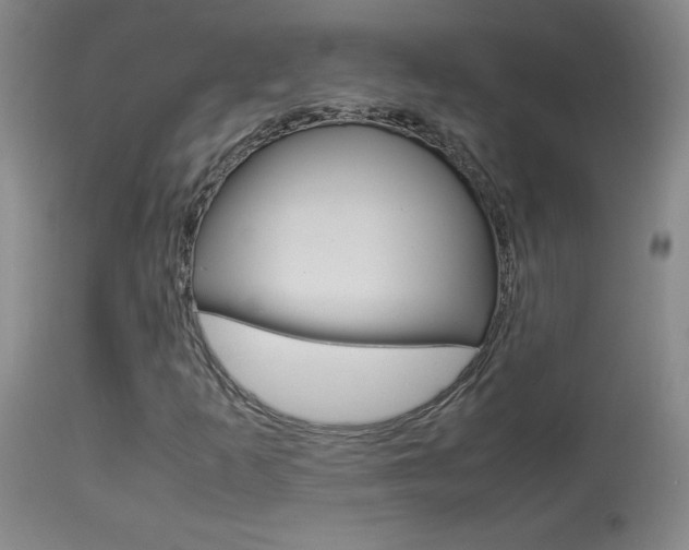 X0000113931253200909250907