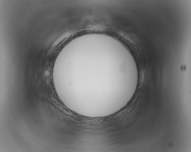 X0000113931254200909250907