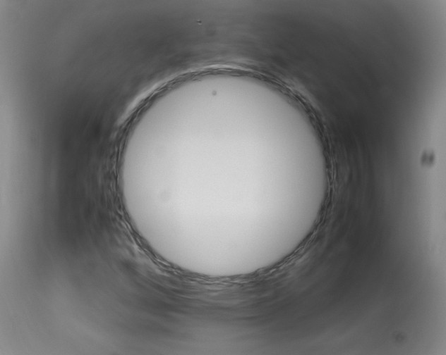 X0000113931256200909250907