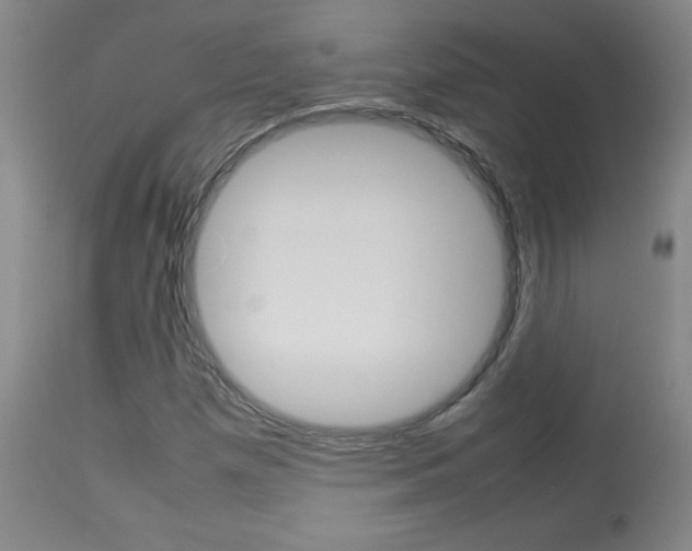 X0000113931257200909250907