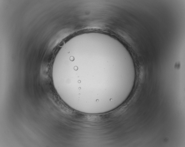 X0000113931258200909250907