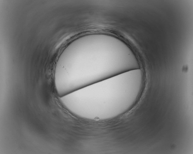 X0000113931259200909250907