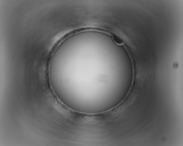 X0000113931264200909250907