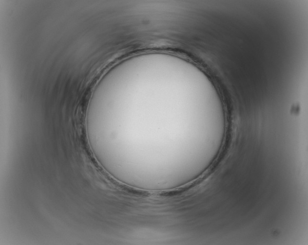 X0000113931265200909250907