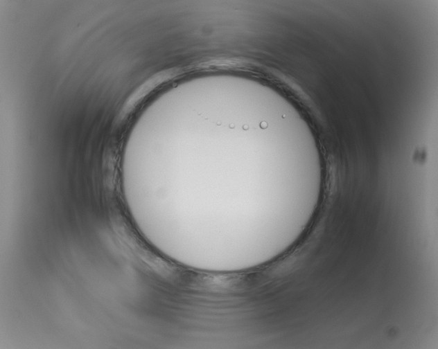 X0000113931266200909250907