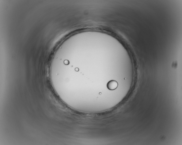 X0000113931267200909250907