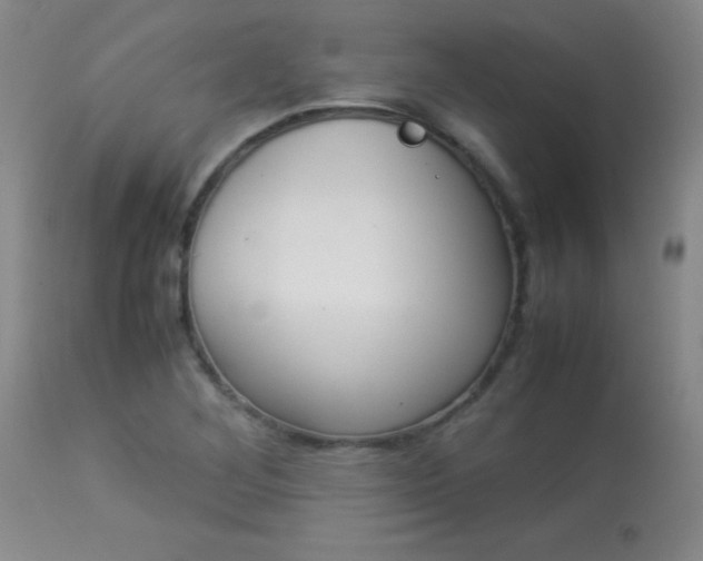 X0000113931268200909250907