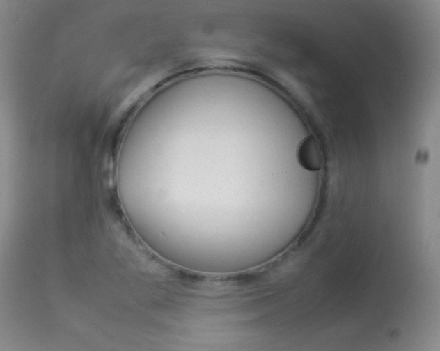 X0000113931269200909250907