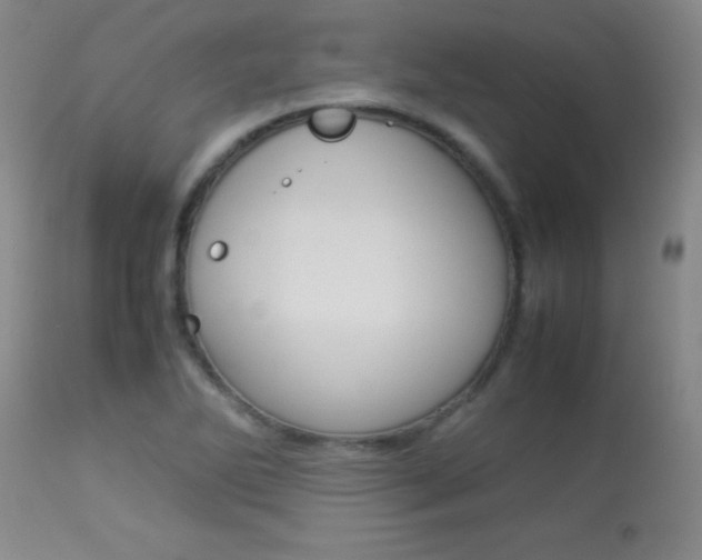 X0000113931270200909250907