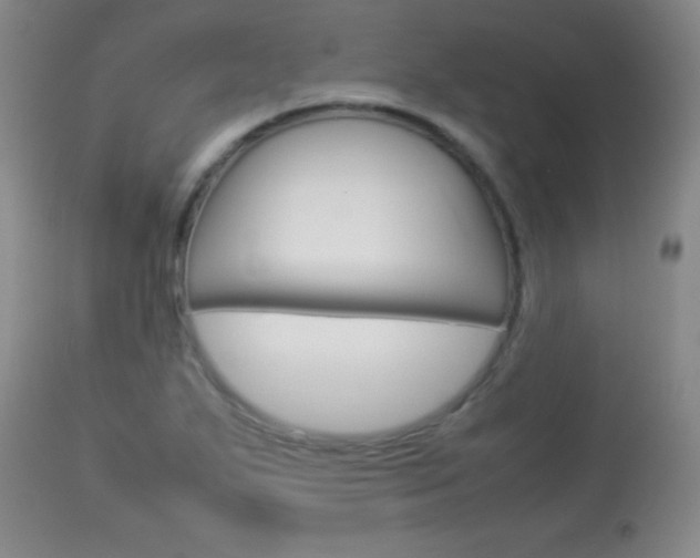 X0000113931271200909250907
