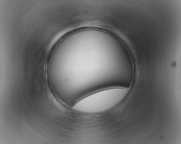 X0000113931272200909250907