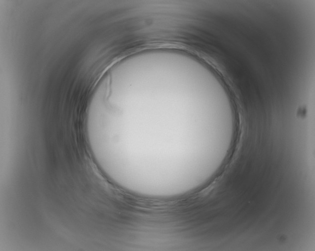 X0000113931273200909250907