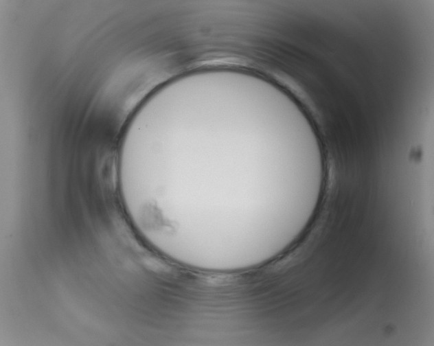 X0000113931274200909250907