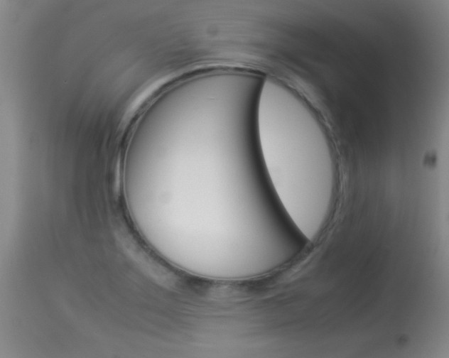 X0000113931275200909250907