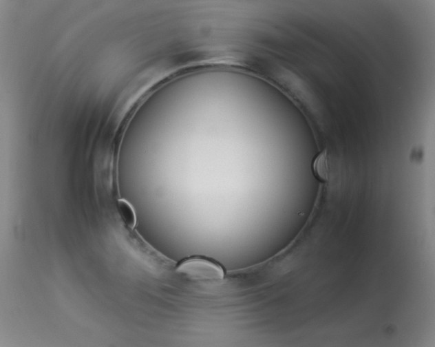 X0000113931276200909250907