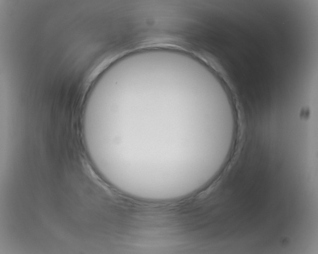 X0000113931277200909250907