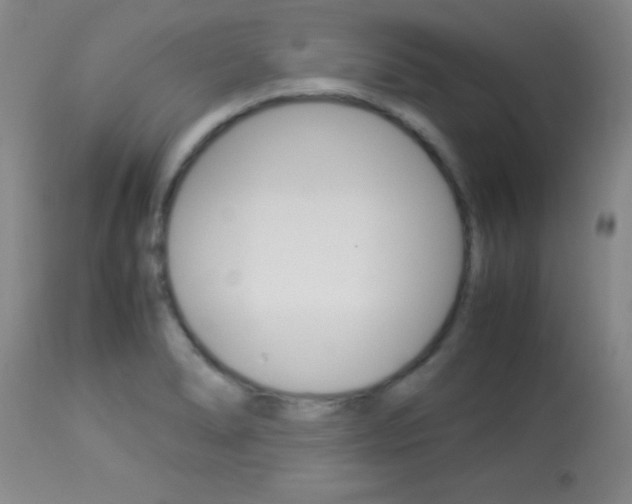 X0000113931278200909250907