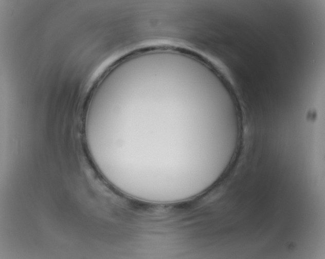 X0000113931279200909250907