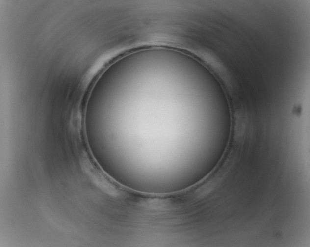 X0000113931280200909250907