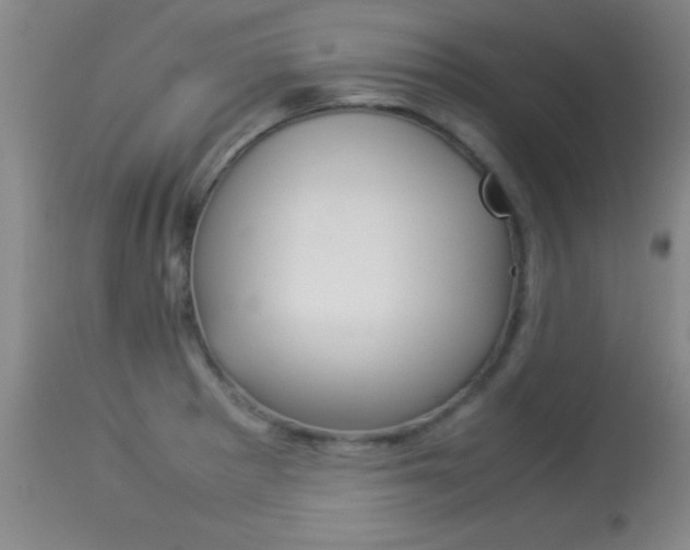 X0000113931281200909250907