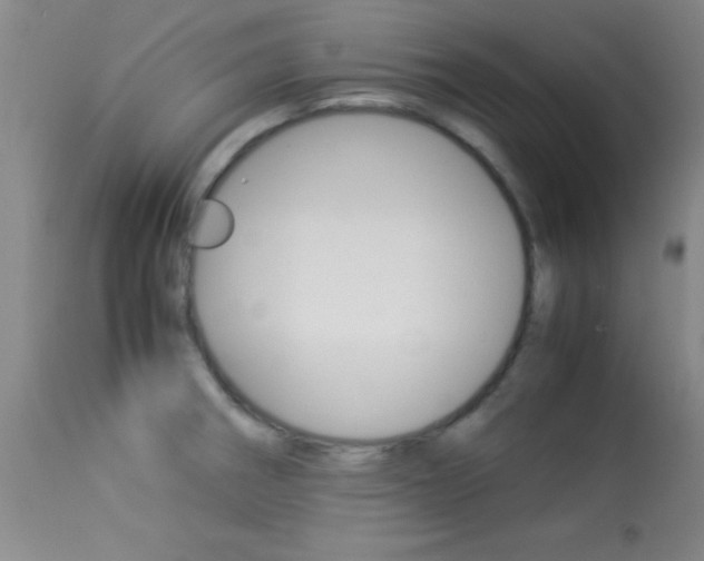X0000113931282200909250907